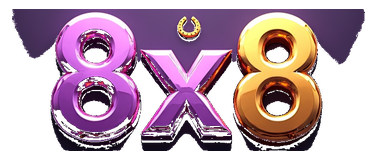 8x8